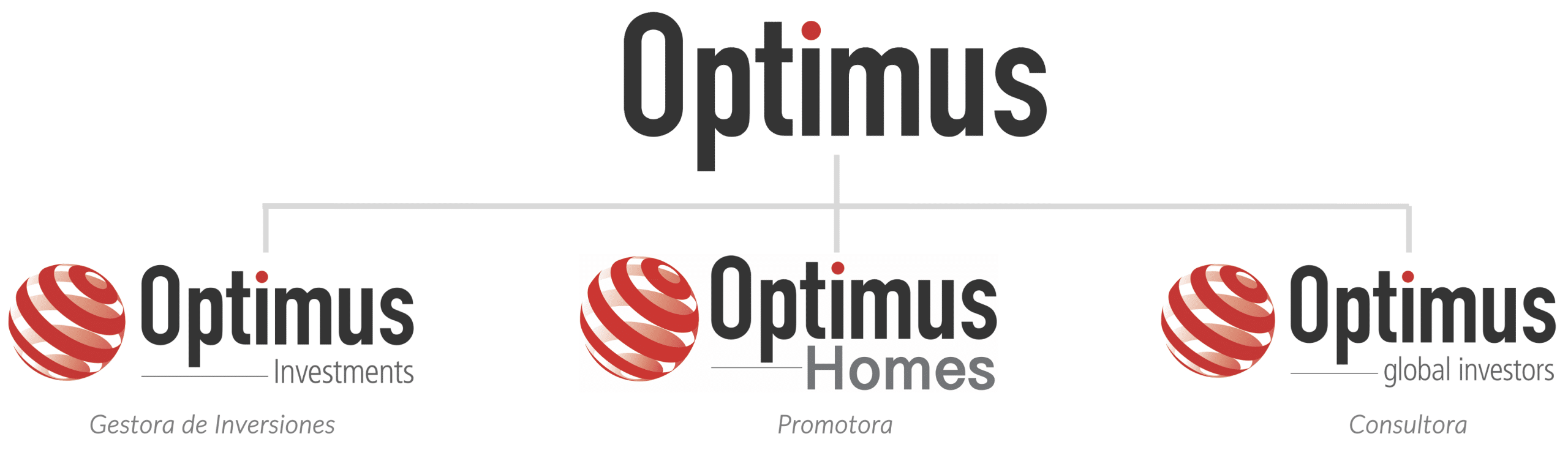 Grupo Optimus